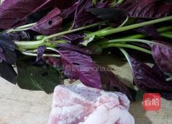 红萰菜肉片汤的做法图解1