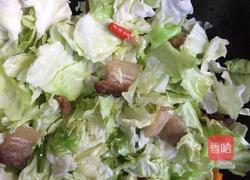 干锅手撕包菜的做法图解8