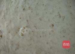 白面馒头的做法图解4