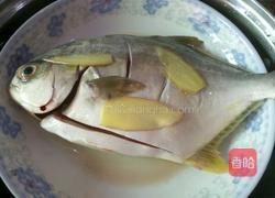 清蒸金鲳鱼的做法图解2