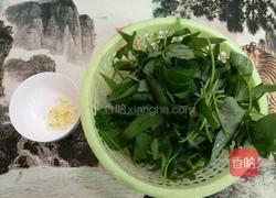 蒜蓉炒番薯叶的做法图解1