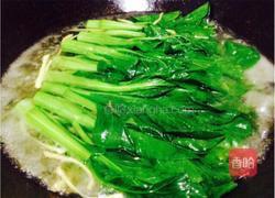 葱油菜心的做法图解2