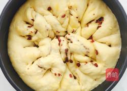 蔓越莓面包（手揉面）的做法图解7