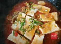番茄烧豆腐的做法图解10
