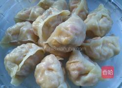 西红柿鸡蛋饺子的做法图解17