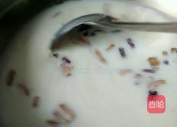 红枣牛奶粥的做法图解6