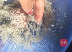 清;蒸狮子头的做法图解4