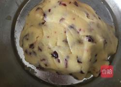 蔓越莓饼干的做法图解11