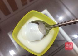 椰奶布丁的做法图解8