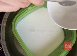 椰奶布丁的做法图解4