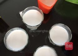 椰奶布丁的做法图解5