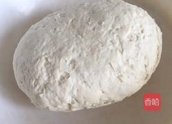 小刺猬豆沙包的做法图解3