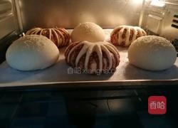 豆沙面包的做法图解10