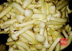 凉拌白玉菇的做法图解2
