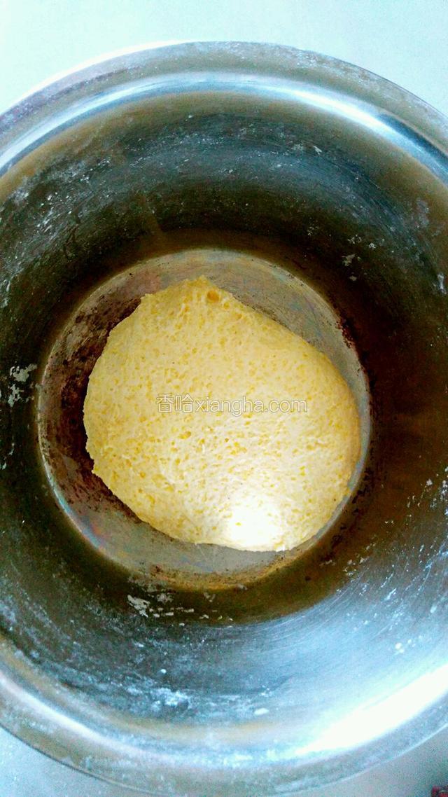 等玉米面团凉凉和白面一起揉成光滑面团，醒半个小时