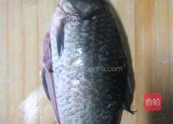 猫咪美味窝头的做法图解1