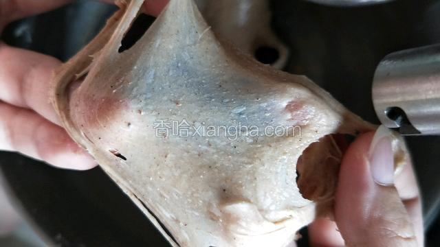 如图状态可以轻轻拉出薄膜即可，无需手套膜哦！。然后放入冰箱冷藏发酵。6-10个小时。