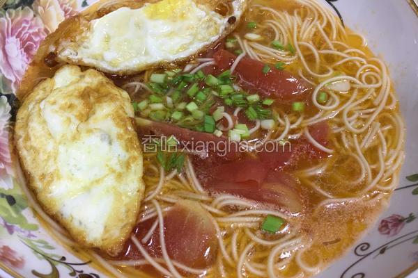 西红柿鸡蛋面