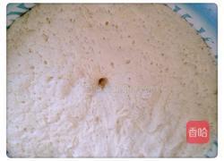 核桃芝麻花卷的做法图解7