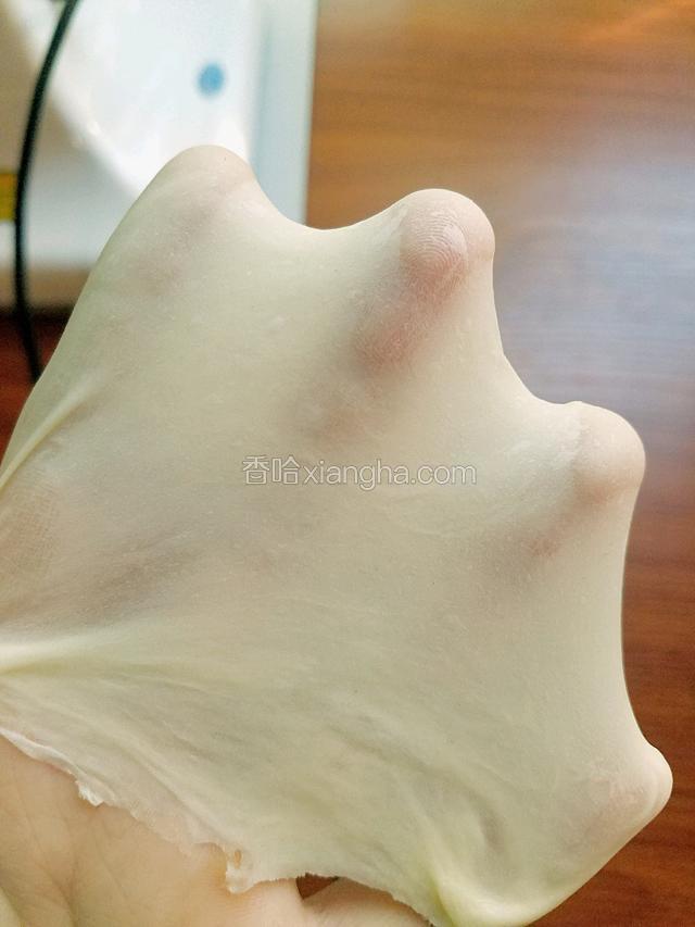 完全阶段的面团，揪一团下来慢慢匀开可以看到一张有薄而且有张力的薄膜。