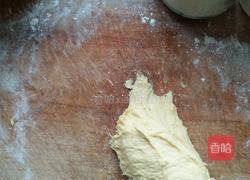 无油南瓜小餐包的做法图解7