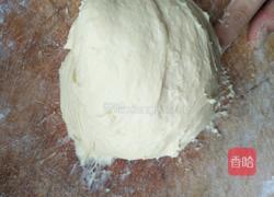无油南瓜小餐包的做法图解8