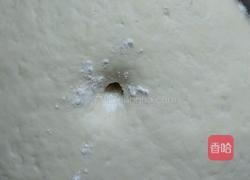 葱香肉包的做法图解7