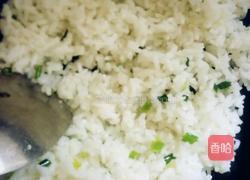 葱香香哈大颗粒香菇酱炒饭的做法图解5