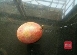 百香果汁的做法图解1