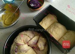 紫薯手撕面包的做法图解3