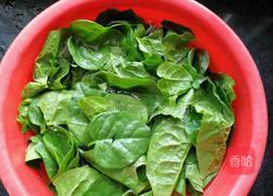 保炒木耳菜的做法图解1