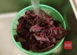 蒜蓉寒菜的做法图解4