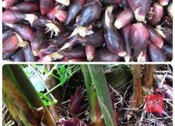 清炒阳荷的做法图解1