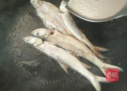 西红柿杏鲍菇鱼汤的做法图解2