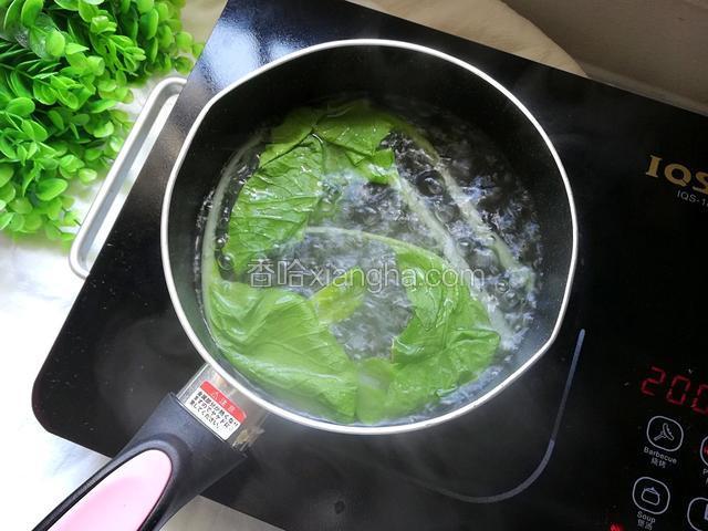 水开将小白菜放入锅中焯水3分钟