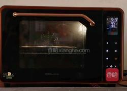 柠檬贝壳玛德琳的做法图解9