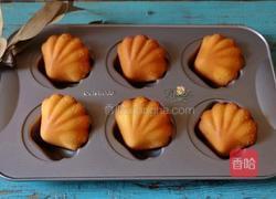 柠檬贝壳玛德琳的做法图解10