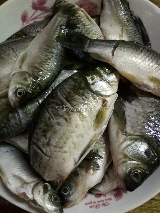 小鲫鱼弄好洗净，用盐腌制15分钟。