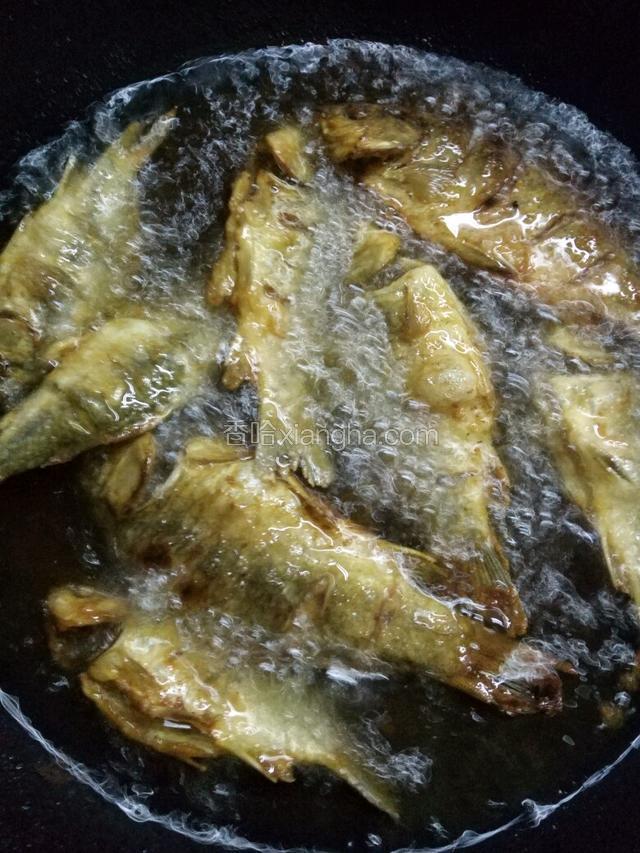 起锅待油热时将小鲫鱼放进油里炸出金黄色。不过今天我炸的时间有点长，颜色老了。