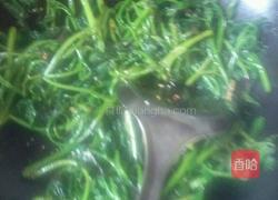 爆炒红薯叶尖的做法图解8