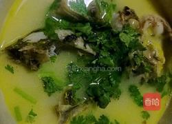 昂刺鱼汤的做法图解6