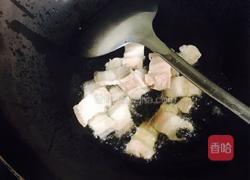 耗油手撕包菜的做法图解8