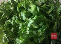 荠菜馄饨的做法图解1