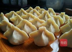 虾皮鸡蛋包菜饺子的做法图解22