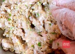 珍珠肉圆的做法图解5