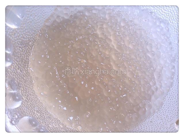 把西米露在锅里掺水煮至透明，边搅边煮，以免扒锅，煮好捞出用凉水浸泡