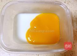 芒果奶冻的做法图解10