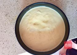 八寸水果慕斯蛋糕的做法图解11