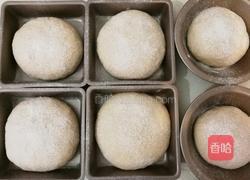 全麦面包的做法图解5