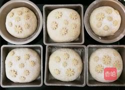 全麦面包的做法图解7